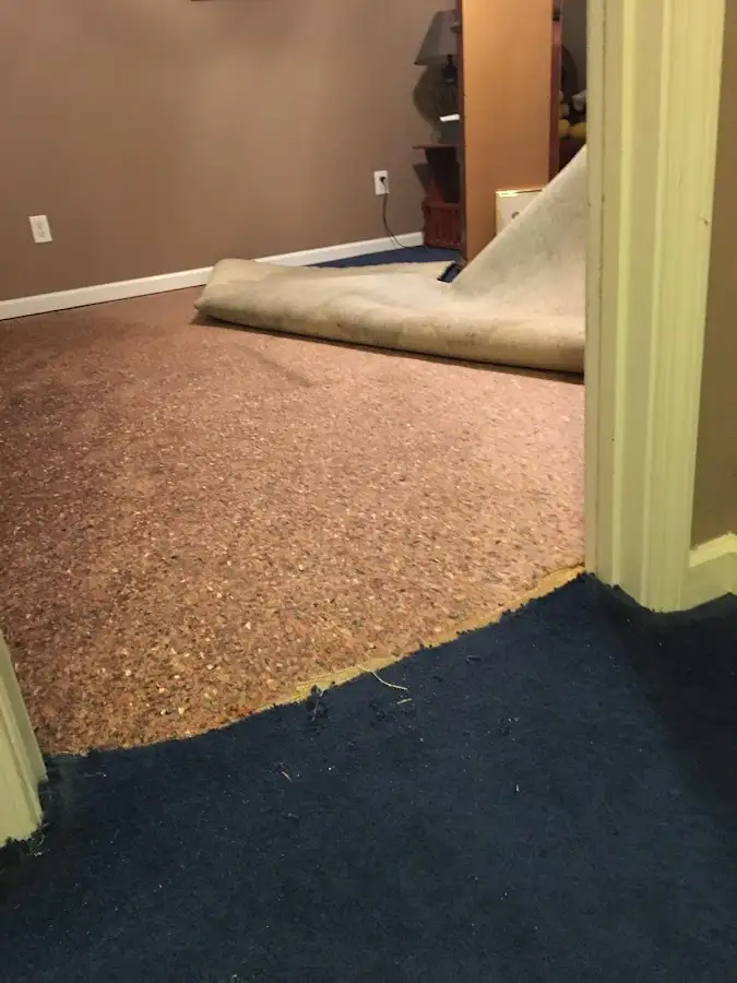 Carpet pad removal revealing water damage during Drying & Dehumidification in Germantown